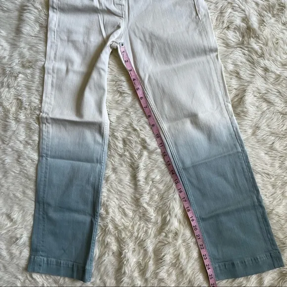 Anthropologie Pilcro and the Letterpress Jeans Ultra High-Rise Dip-Dyed 26 NWT
