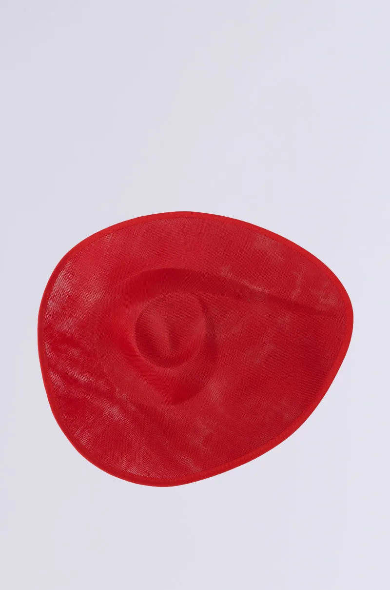 BLUSHING EDITORIAL CLIP ON HAT