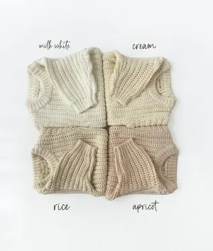 Chunky Knit Sweater Pastels