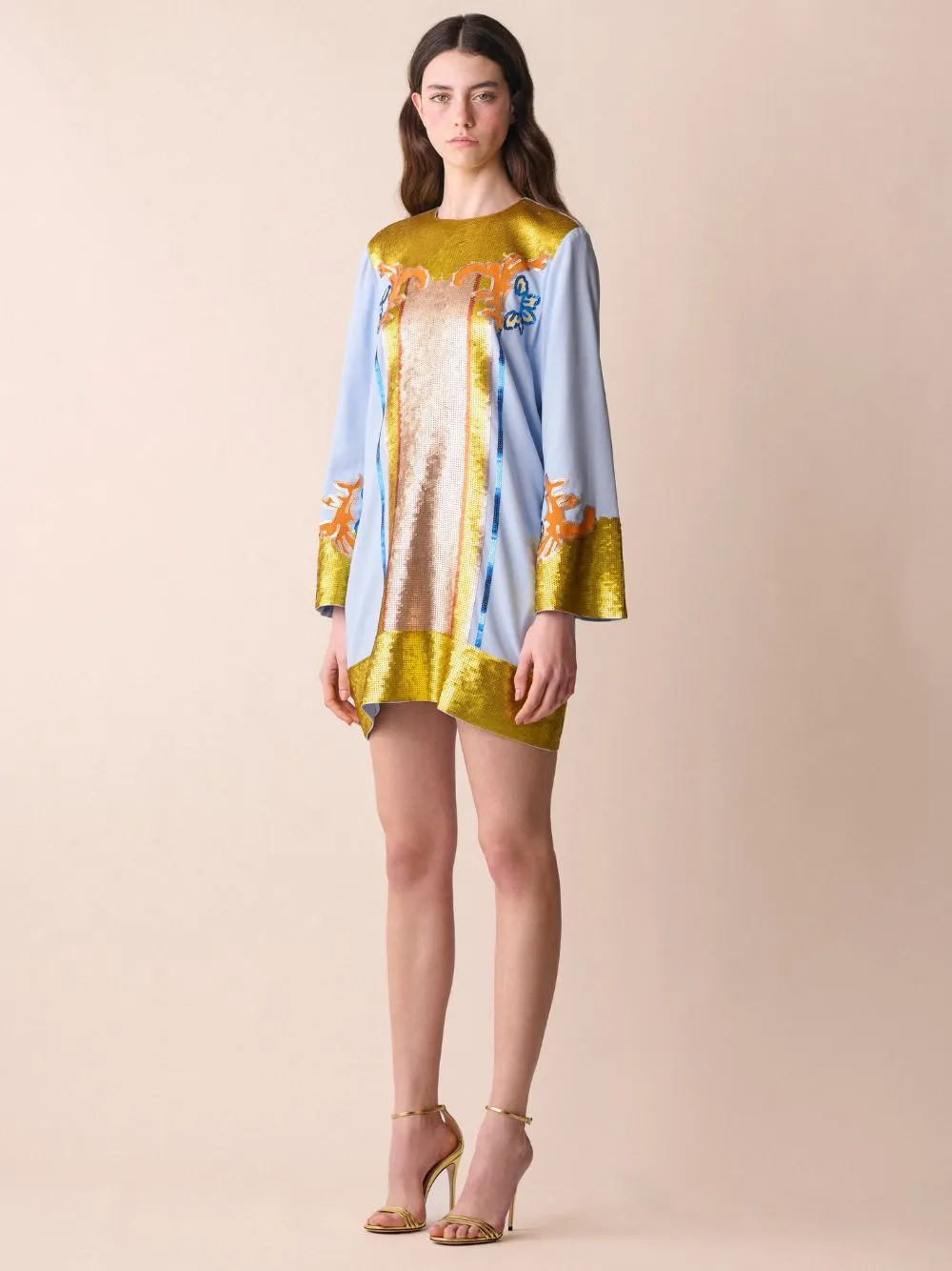 Hydra A-Line Embroidered Mini Dress