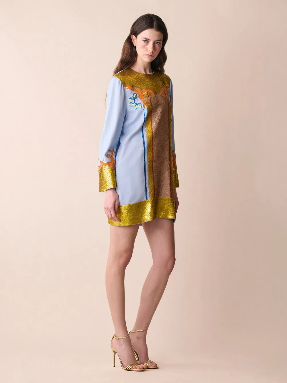 Hydra A-Line Embroidered Mini Dress