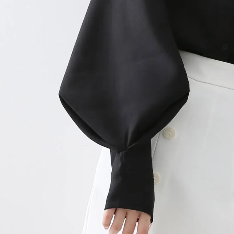 Lantern Sleeve Stand Collar Blouse