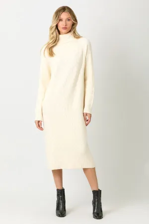 TURTLE NECK SWEATER DRESS